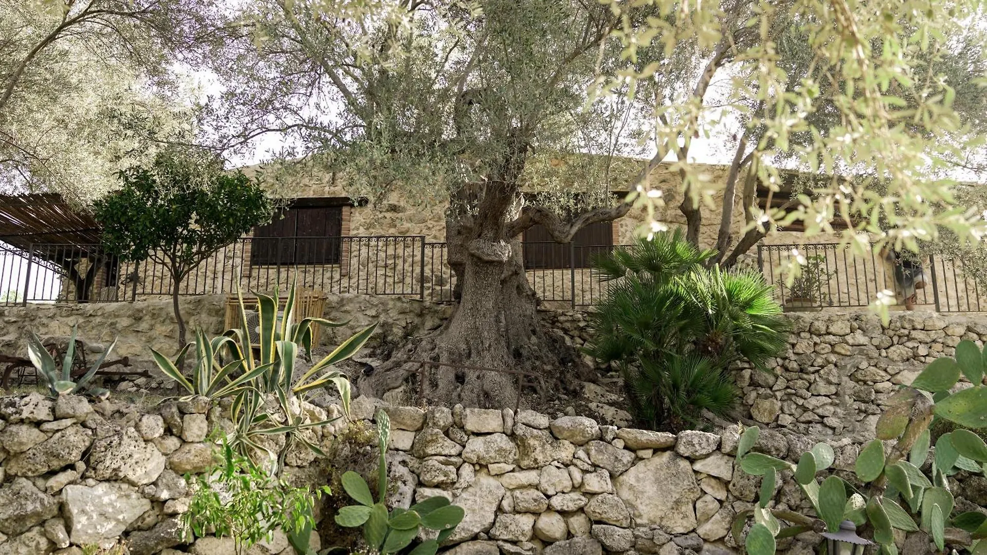 Roba Degli Ulivi Bed & Breakfast Agrigento