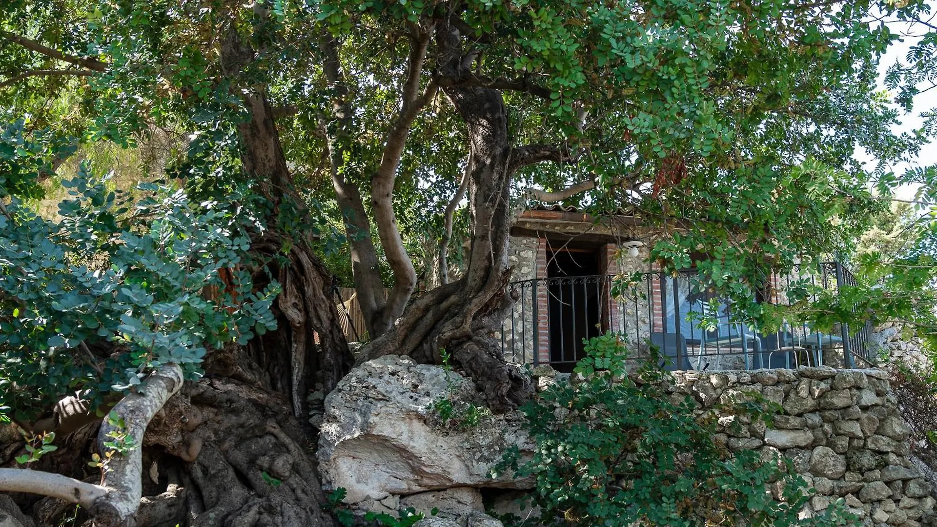 Roba Degli Ulivi Bed & Breakfast Agrigento
